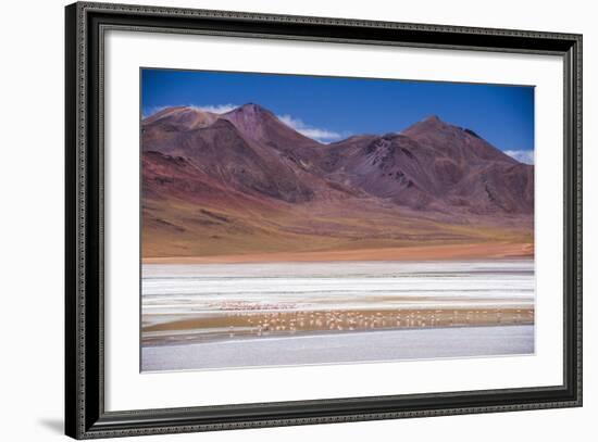 Flamingos at Laguna Hedionda, a Salt Lake Area in the Altiplano of Bolivia, South America-Matthew Williams-Ellis-Framed Photographic Print