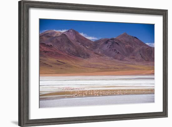 Flamingos at Laguna Hedionda, a Salt Lake Area in the Altiplano of Bolivia, South America-Matthew Williams-Ellis-Framed Photographic Print