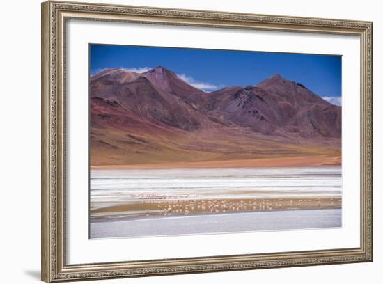 Flamingos at Laguna Hedionda, a Salt Lake Area in the Altiplano of Bolivia, South America-Matthew Williams-Ellis-Framed Photographic Print