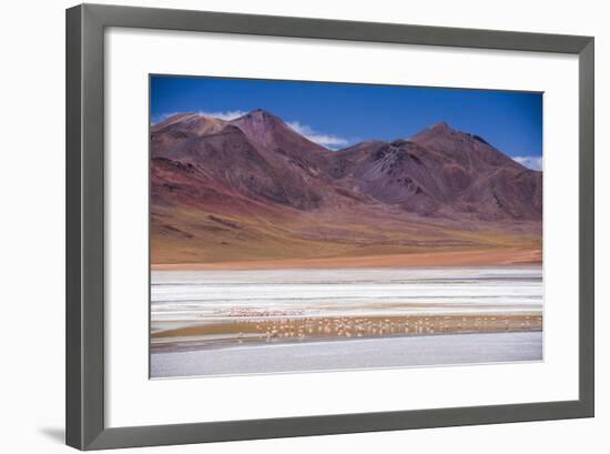 Flamingos at Laguna Hedionda, a Salt Lake Area in the Altiplano of Bolivia, South America-Matthew Williams-Ellis-Framed Photographic Print
