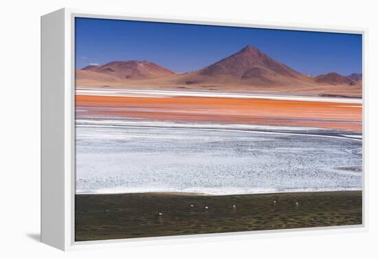 Flamingos at Red Lagoon (Laguna Colorada), Bolivia-Matthew Williams-Ellis-Framed Premier Image Canvas