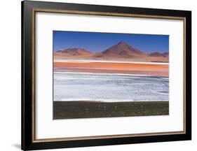 Flamingos at Red Lagoon (Laguna Colorada), Bolivia-Matthew Williams-Ellis-Framed Photographic Print