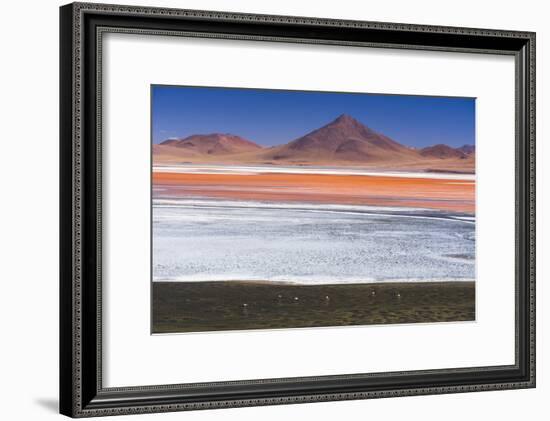 Flamingos at Red Lagoon (Laguna Colorada), Bolivia-Matthew Williams-Ellis-Framed Photographic Print