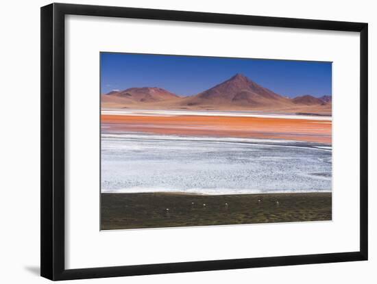 Flamingos at Red Lagoon (Laguna Colorada), Bolivia-Matthew Williams-Ellis-Framed Photographic Print