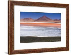 Flamingos at Red Lagoon (Laguna Colorada), Bolivia-Matthew Williams-Ellis-Framed Photographic Print