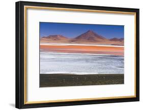 Flamingos at Red Lagoon (Laguna Colorada), Bolivia-Matthew Williams-Ellis-Framed Photographic Print