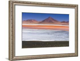 Flamingos at Red Lagoon (Laguna Colorada), Bolivia-Matthew Williams-Ellis-Framed Photographic Print