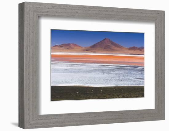 Flamingos at Red Lagoon (Laguna Colorada), Bolivia-Matthew Williams-Ellis-Framed Photographic Print