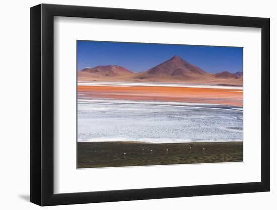 Flamingos at Red Lagoon (Laguna Colorada), Bolivia-Matthew Williams-Ellis-Framed Photographic Print