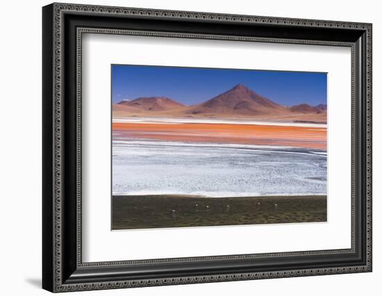 Flamingos at Red Lagoon (Laguna Colorada), Bolivia-Matthew Williams-Ellis-Framed Photographic Print