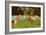 Flamingos at San Diego Zoo-null-Framed Premium Giclee Print