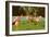 Flamingos at San Diego Zoo-null-Framed Art Print