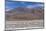 Flamingos feeding in Laguna Canapa, an endorheic salt lake in the altiplano, Potosi Department-Michael Nolan-Mounted Photographic Print