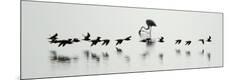 Premium Photographic Print