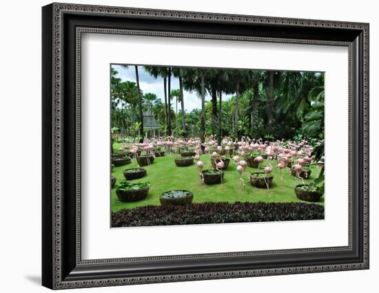 Flamingos in Garden.-Mattanin Nonchang-Framed Photographic Print