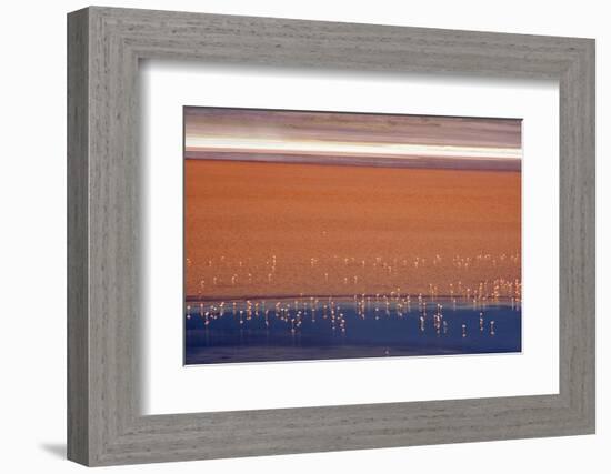 Flamingos in Laguna Colorada, Eduardo Abaroa Andean Fauna National Reserve, Bolivia-Keren Su-Framed Photographic Print