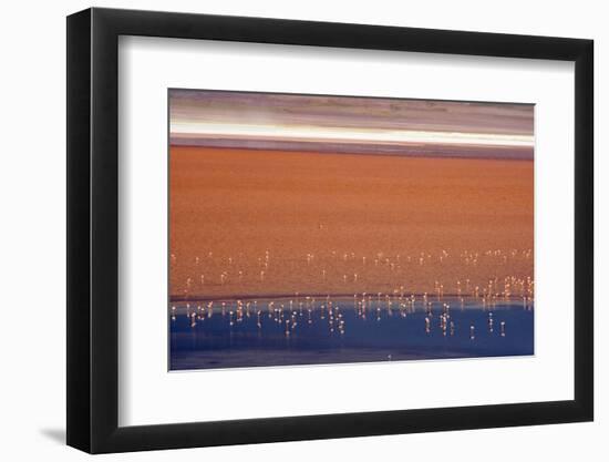 Flamingos in Laguna Colorada, Eduardo Abaroa Andean Fauna National Reserve, Bolivia-Keren Su-Framed Photographic Print