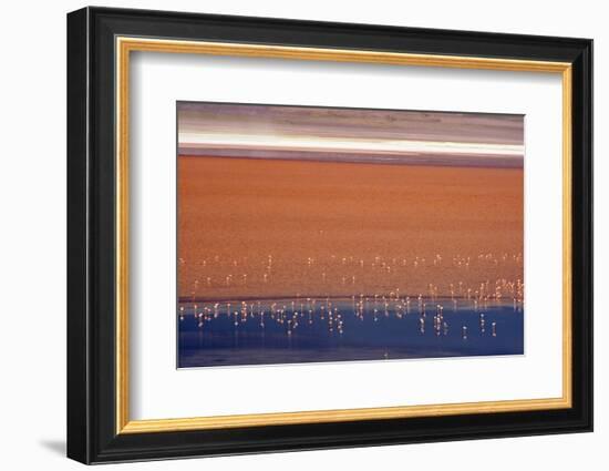 Flamingos in Laguna Colorada, Eduardo Abaroa Andean Fauna National Reserve, Bolivia-Keren Su-Framed Photographic Print