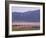 Flamingos, Lake Bogoria, Kenya, East Africa, Africa-Storm Stanley-Framed Photographic Print