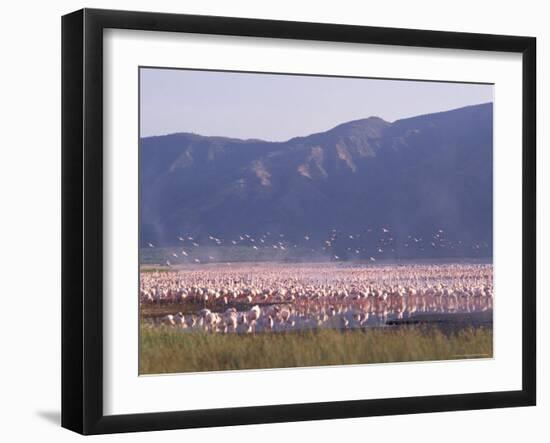 Flamingos, Lake Bogoria, Kenya, East Africa, Africa-Storm Stanley-Framed Photographic Print