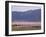 Flamingos, Lake Bogoria, Kenya, East Africa, Africa-Storm Stanley-Framed Photographic Print