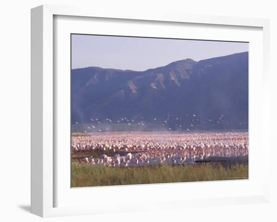Flamingos, Lake Bogoria, Kenya, East Africa, Africa-Storm Stanley-Framed Photographic Print