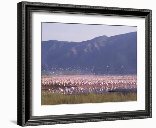 Flamingos, Lake Bogoria, Kenya, East Africa, Africa-Storm Stanley-Framed Photographic Print