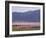 Flamingos, Lake Bogoria, Kenya, East Africa, Africa-Storm Stanley-Framed Photographic Print