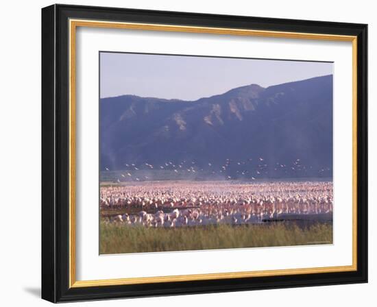 Flamingos, Lake Bogoria, Kenya, East Africa, Africa-Storm Stanley-Framed Photographic Print