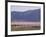 Flamingos, Lake Bogoria, Kenya, East Africa, Africa-Storm Stanley-Framed Photographic Print