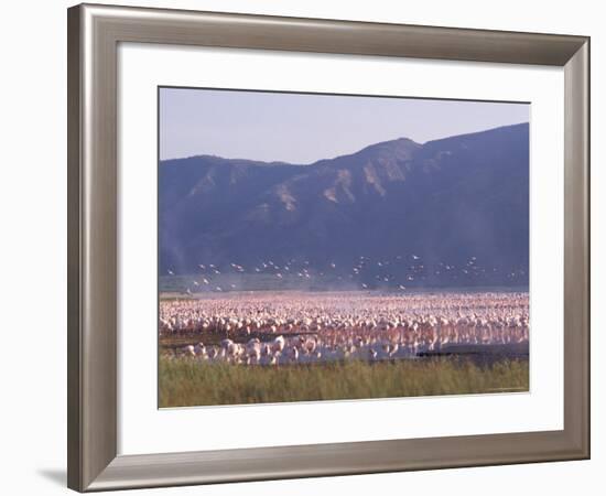 Flamingos, Lake Bogoria, Kenya, East Africa, Africa-Storm Stanley-Framed Photographic Print