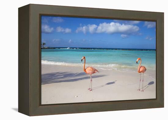 Flamingos on Flamingo Beach, Renaissance Island, Oranjestad, Aruba, Lesser Antilles-Jane Sweeney-Framed Premier Image Canvas