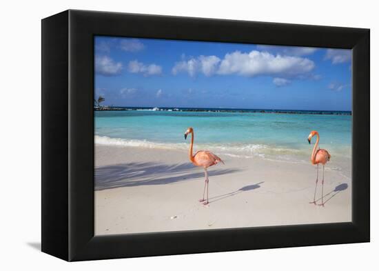 Flamingos on Flamingo Beach, Renaissance Island, Oranjestad, Aruba, Lesser Antilles-Jane Sweeney-Framed Premier Image Canvas