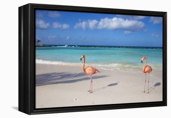 Flamingos on Flamingo Beach, Renaissance Island, Oranjestad, Aruba, Lesser Antilles-Jane Sweeney-Framed Premier Image Canvas