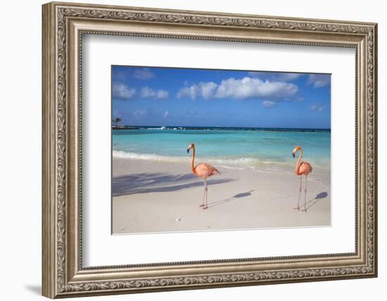 Flamingos on Flamingo Beach, Renaissance Island, Oranjestad, Aruba, Lesser Antilles-Jane Sweeney-Framed Photographic Print