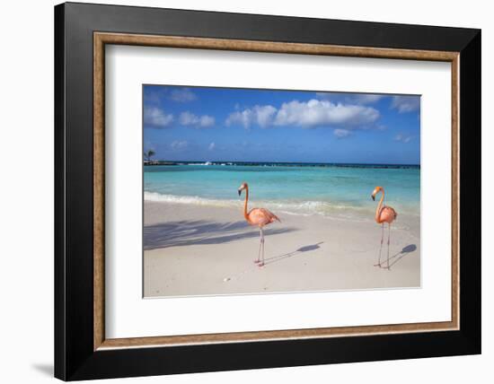 Flamingos on Flamingo Beach, Renaissance Island, Oranjestad, Aruba, Lesser Antilles-Jane Sweeney-Framed Photographic Print