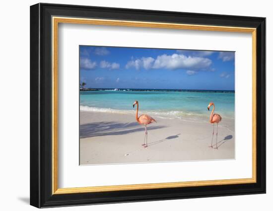 Flamingos on Flamingo Beach, Renaissance Island, Oranjestad, Aruba, Lesser Antilles-Jane Sweeney-Framed Photographic Print