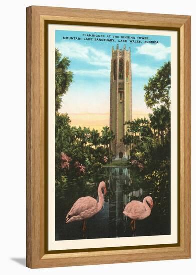 Flamingos, Singing Tower, Lake Wales, Florida-null-Framed Stretched Canvas