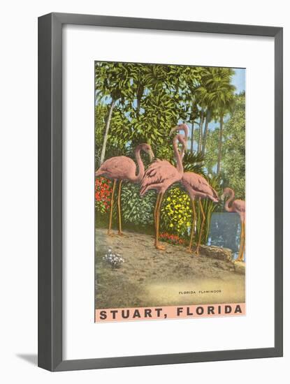 Flamingos, Stuart, Florida-null-Framed Art Print