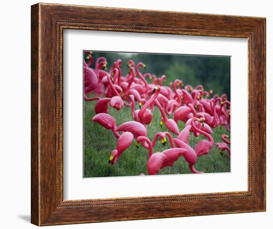 Flamingos-John Gusky-Framed Photographic Print