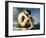 Flandrin: Nude Youth, 1837-Hippolyte Flandrin-Framed Giclee Print