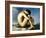 Flandrin: Nude Youth, 1837-Hippolyte Flandrin-Framed Giclee Print