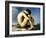 Flandrin: Nude Youth, 1837-Hippolyte Flandrin-Framed Giclee Print