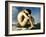 Flandrin: Nude Youth, 1837-Hippolyte Flandrin-Framed Giclee Print