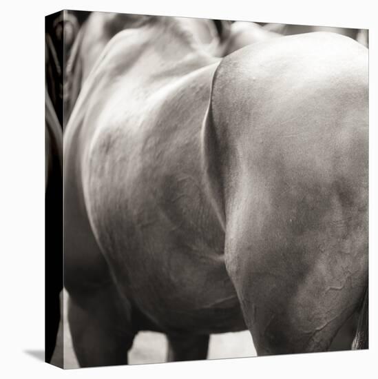 Flank-Joseph Eta-Framed Stretched Canvas