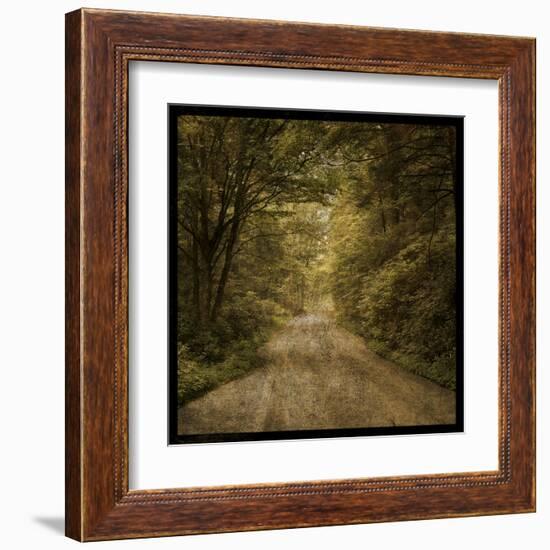 Flannery Fork Road No. 1-John Golden-Framed Art Print