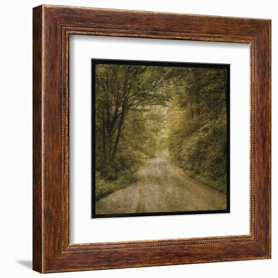 Flannery Fork Road No. 1-John W^ Golden-Framed Art Print