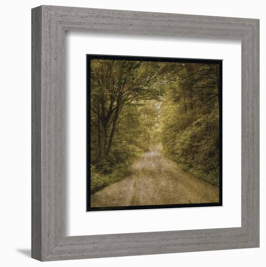 Flannery Fork Road No. 1-John W^ Golden-Framed Art Print