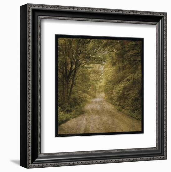 Flannery Fork Road No. 1-John W^ Golden-Framed Art Print