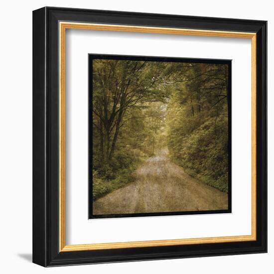 Flannery Fork Road No. 1-John W^ Golden-Framed Art Print
